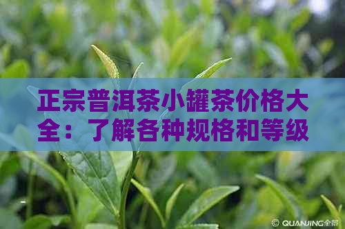 正宗普洱茶小罐茶价格大全：了解各种规格和等级的茶叶价格