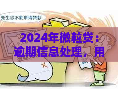 2024年微粒贷：逾期信息处理，用户反馈如何？