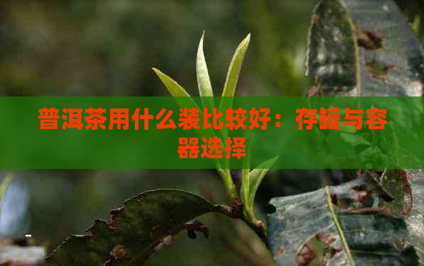 普洱茶用什么装比较好：存罐与容器选择