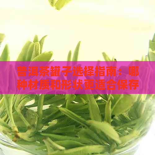 普洱茶罐子选择指南：哪种材质和形状更适合保存普洱茶？