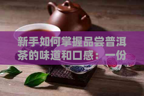 新手如何掌握品尝普洱茶的味道和口感：一份详细指南