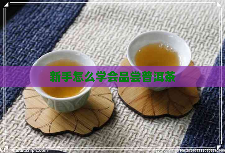 新手怎么学会品尝普洱茶