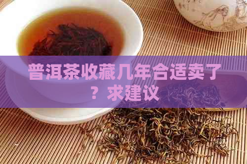 普洱茶收藏几年合适卖了？求建议