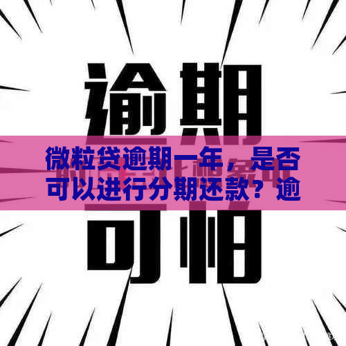 微粒贷逾期一年，是否可以进行分期还款？逾期后有哪些还款方案可选？