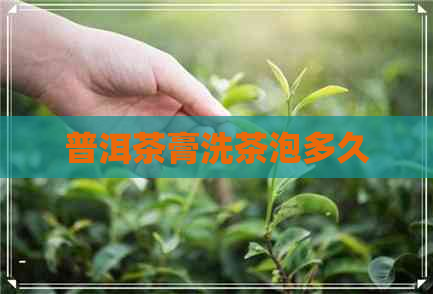 普洱茶膏洗茶泡多久