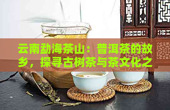 云南勐海茶山：普洱茶的故乡，探寻古树茶与茶文化之旅