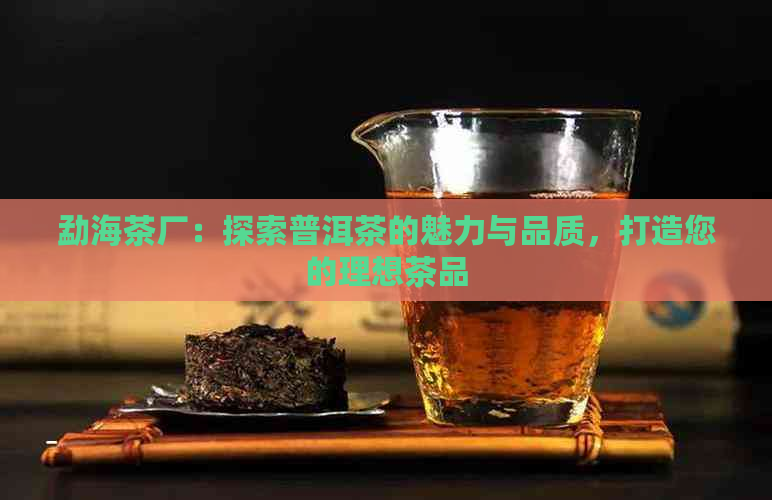 勐海茶厂：探索普洱茶的魅力与品质，打造您的理想茶品