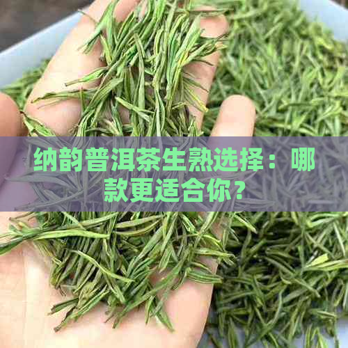 纳韵普洱茶生熟选择：哪款更适合你？