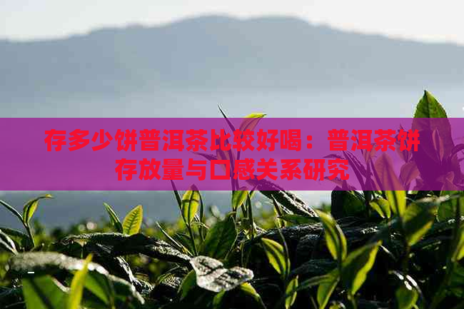 存多少饼普洱茶比较好喝：普洱茶饼存放量与口感关系研究