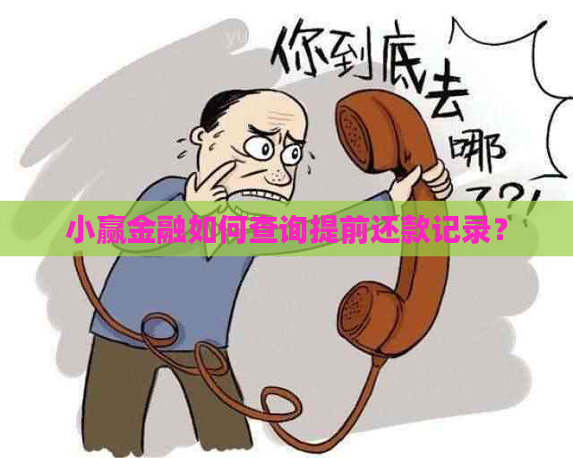 小赢金融如何查询提前还款记录？