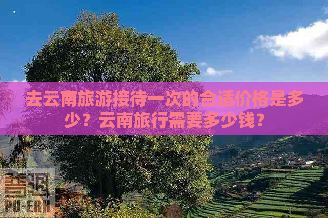 去云南旅游接待一次的合适价格是多少？云南旅行需要多少钱？