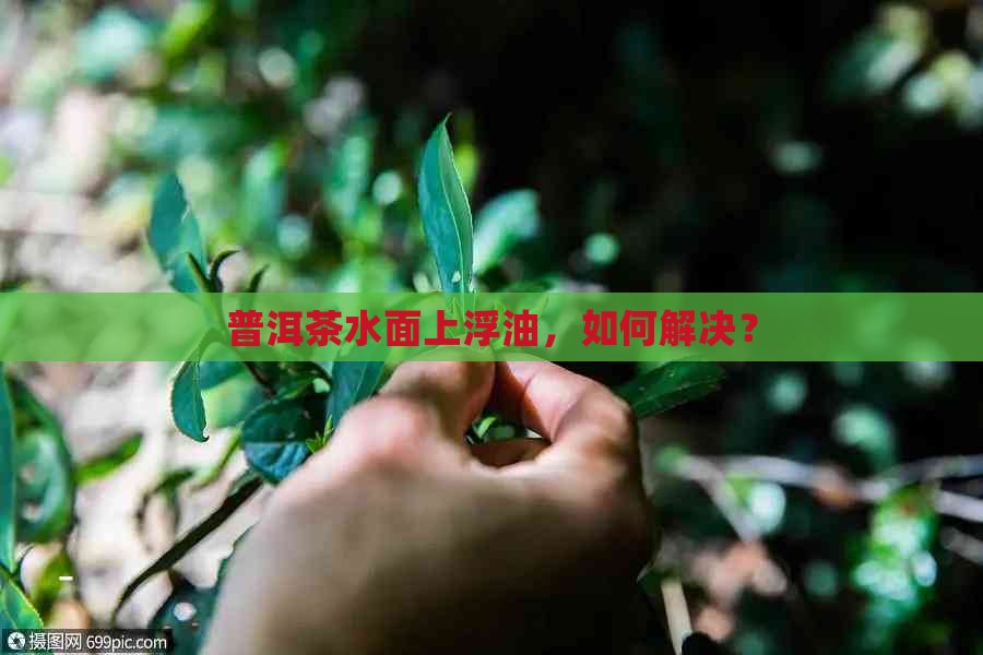 普洱茶水面上浮油，如何解决？