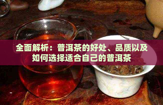 全面解析：普洱茶的好处、品质以及如何选择适合自己的普洱茶