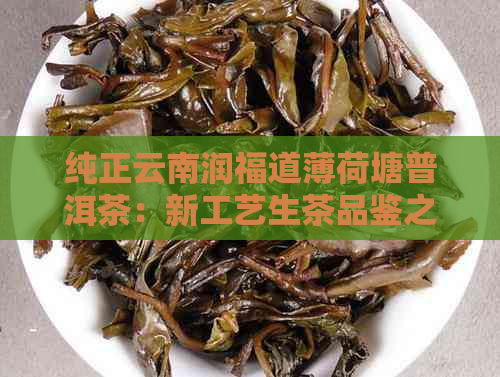 纯正云南润福道薄荷塘普洱茶：新工艺生茶品鉴之旅