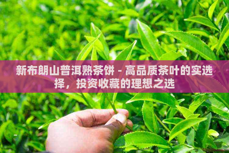 新布朗山普洱熟茶饼 - 高品质茶叶的实选择，投资收藏的理想之选