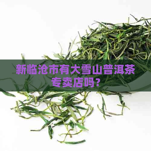 新临沧市有大雪山普洱茶专卖店吗？