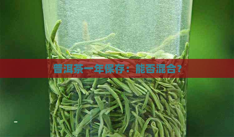 普洱茶一年保存：能否混合？