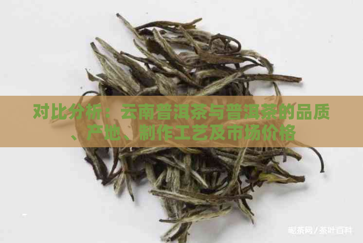 对比分析：云南普洱茶与普洱茶的品质、产地、制作工艺及市场价格