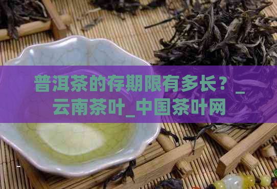 普洱茶的存期限有多长？_云南茶叶_中国茶叶网