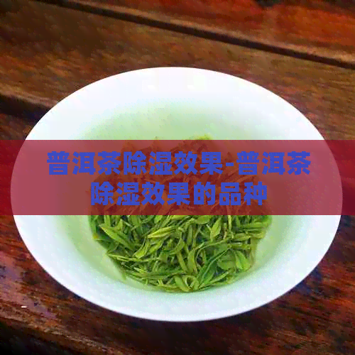 普洱茶除湿效果-普洱茶除湿效果的品种