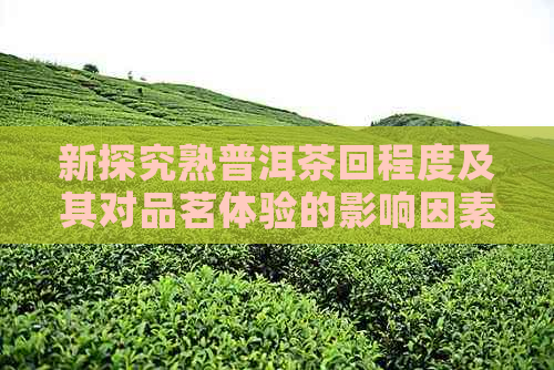 新探究熟普洱茶回程度及其对品茗体验的影响因素