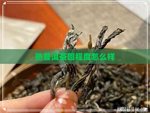 熟普洱茶回程度怎么样