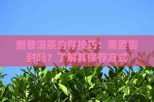 新普洱茶的存技巧：需要密封吗？了解其保存方式