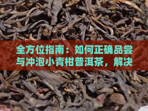 全方位指南：如何正确品尝与冲泡小青柑普洱茶，解决您的所有疑问