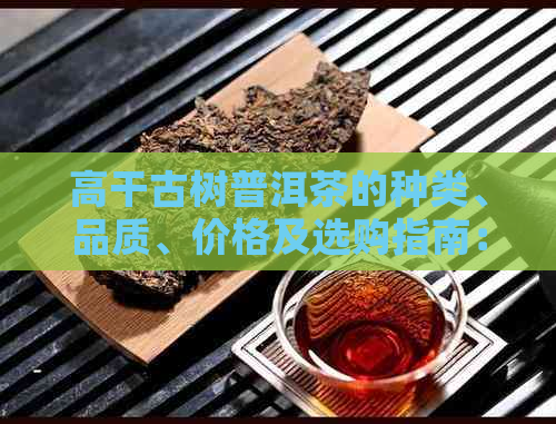 高干古树普洱茶的种类、品质、价格及选购指南：你需要了解的一切