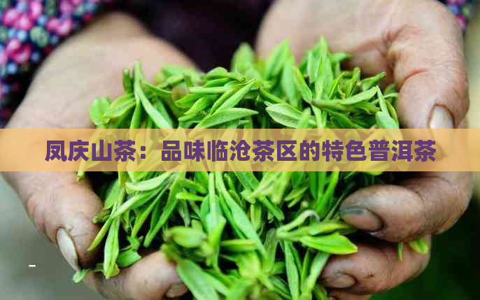 凤庆山茶：品味临沧茶区的特色普洱茶