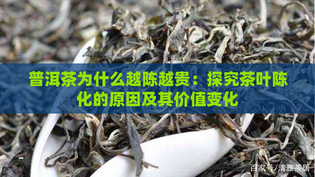 普洱茶为什么越陈越贵：探究茶叶陈化的原因及其价值变化