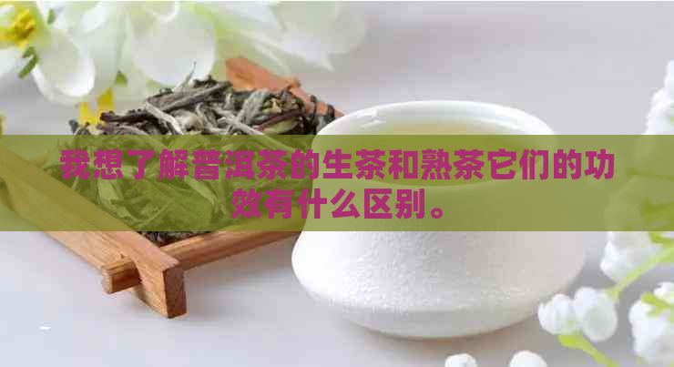 我想了解普洱茶的生茶和熟茶它们的功效有什么区别。