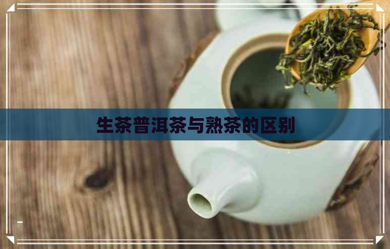 生茶普洱茶与熟茶的区别