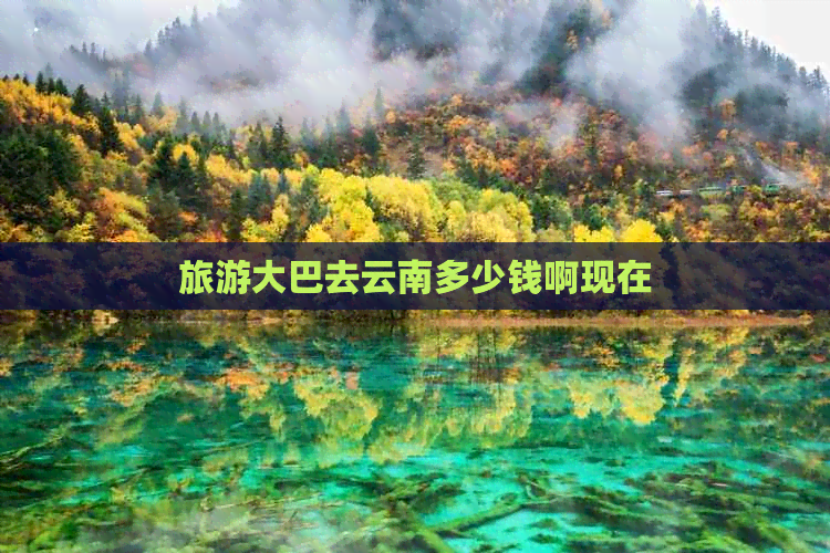 旅游大巴去云南多少钱啊现在