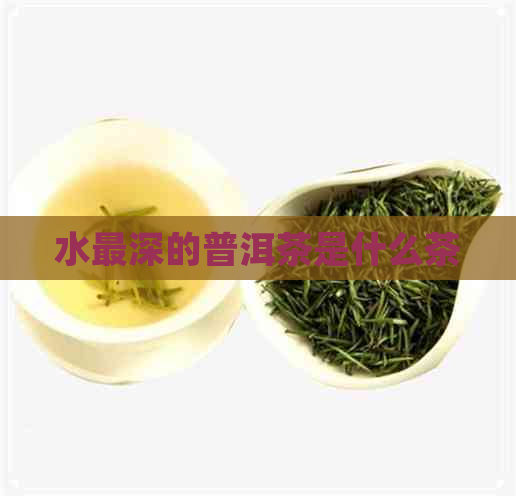 水最深的普洱茶是什么茶