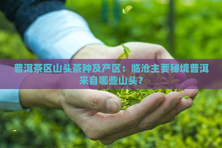 普洱茶区山头茶种及产区：临沧主要秘境普洱来自哪些山头？