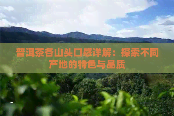 普洱茶各山头口感详解：探索不同产地的特色与品质