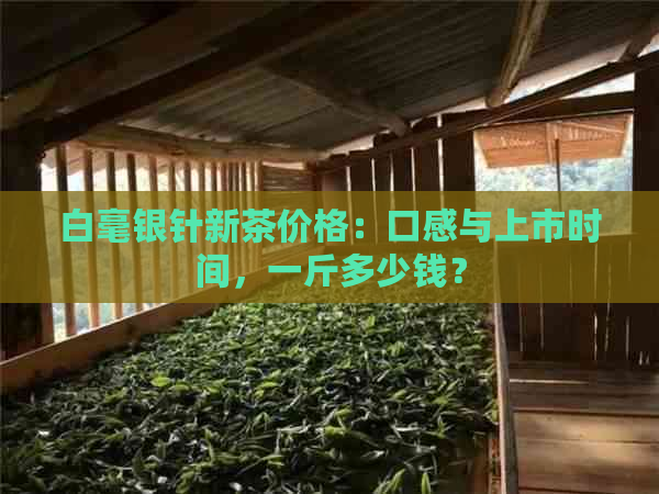 白毫银针新茶价格：口感与上市时间，一斤多少钱？