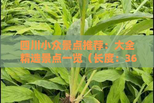 四川小众景点推荐：大全 精选景点一览（长度：36字节）