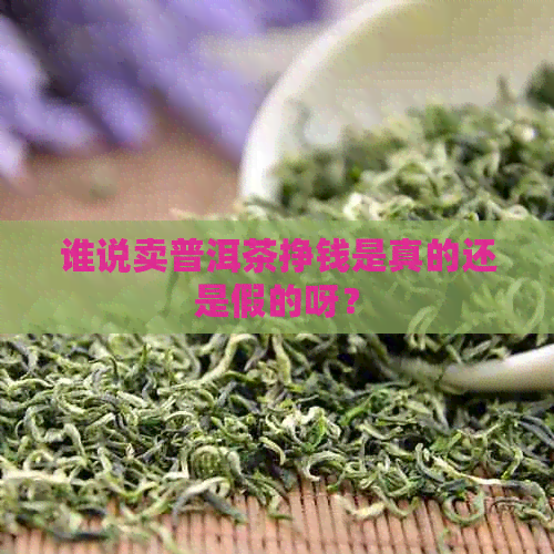 谁说卖普洱茶挣钱是真的还是假的呀？