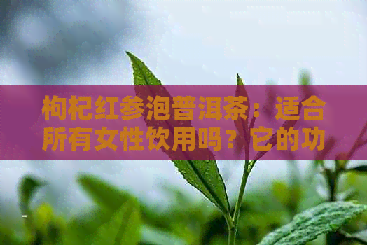 枸杞红参泡普洱茶：适合所有女性饮用吗？它的功效与副作用又是什么？