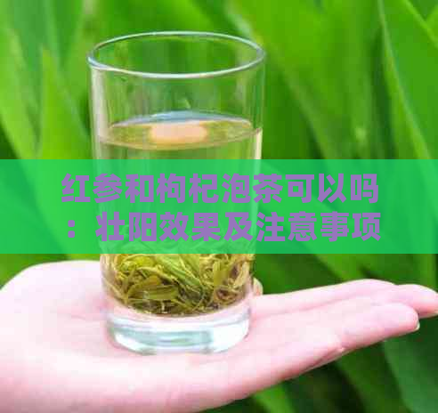 红参和枸杞泡茶可以吗：壮阳效果及注意事项