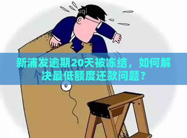 新浦发逾期20天被冻结，如何解决更低额度还款问题？