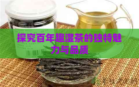 探究百年趣湿茶的独特魅力与品质