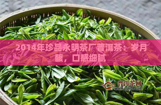 2014年珍品永明茶厂普洱茶：岁月馥，口感细腻