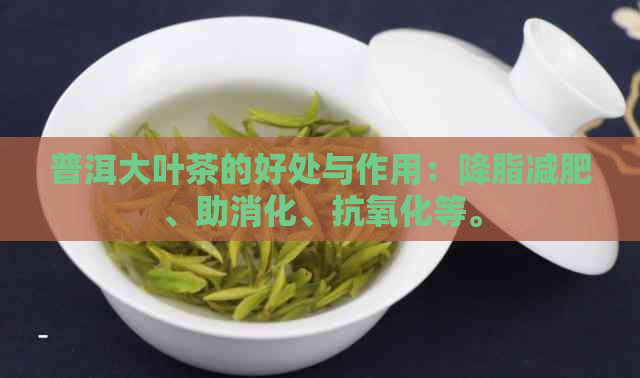 普洱大叶茶的好处与作用：降脂减肥、助消化、抗氧化等。