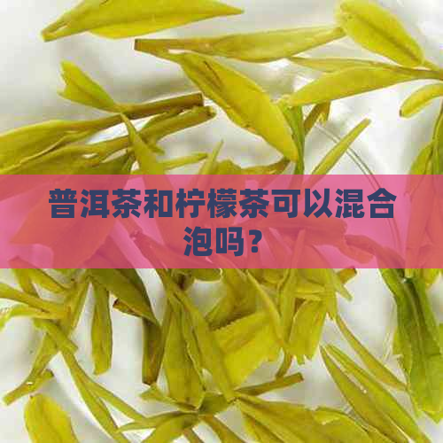 普洱茶和柠檬茶可以混合泡吗？