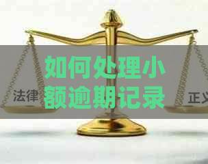 如何处理小额逾期记录以便在上海顺利落户？探讨解决方法和建议