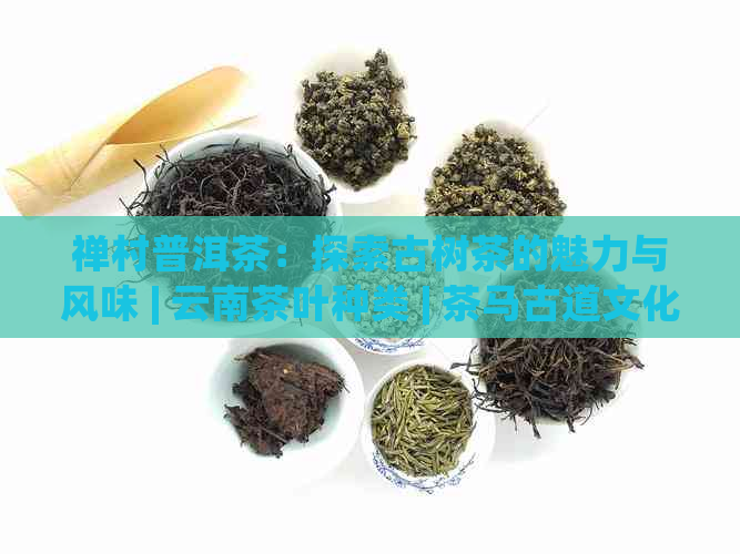 禅村普洱茶：探索古树茶的魅力与风味 | 云南茶叶种类 | 茶马古道文化