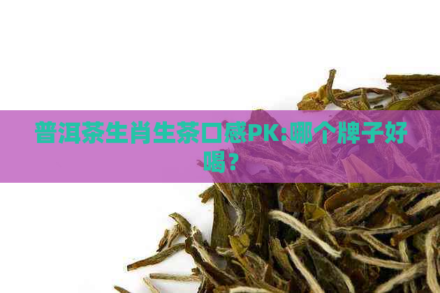 普洱茶生肖生茶口感PK:哪个牌子好喝？